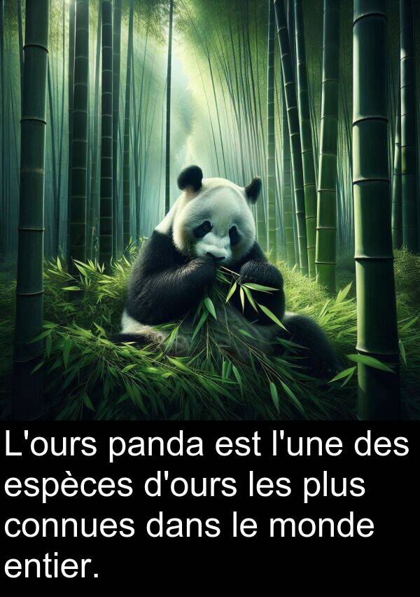 entier: L'ours panda est l'une des espèces d'ours les plus connues dans le monde entier.