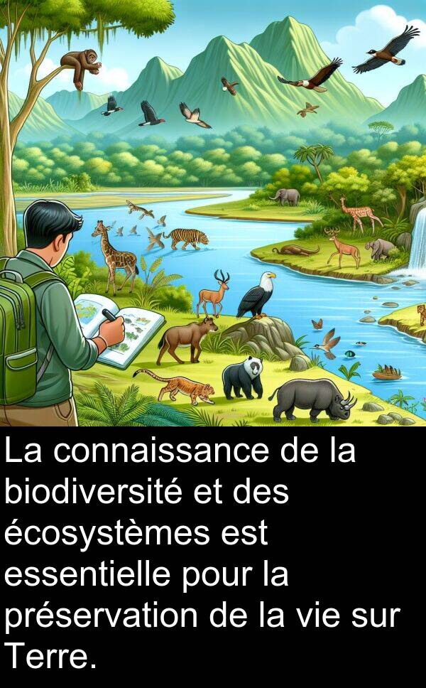 écosystèmes: La connaissance de la biodiversité et des écosystèmes est essentielle pour la préservation de la vie sur Terre.