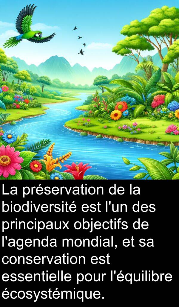 écosystémique: La préservation de la biodiversité est l'un des principaux objectifs de l'agenda mondial, et sa conservation est essentielle pour l'équilibre écosystémique.