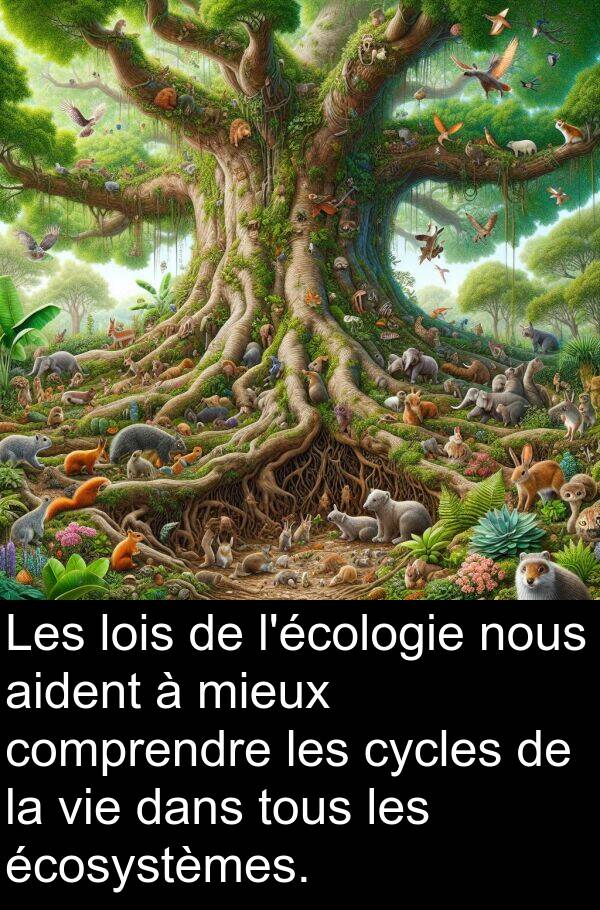 écosystèmes: Les lois de l'écologie nous aident à mieux comprendre les cycles de la vie dans tous les écosystèmes.