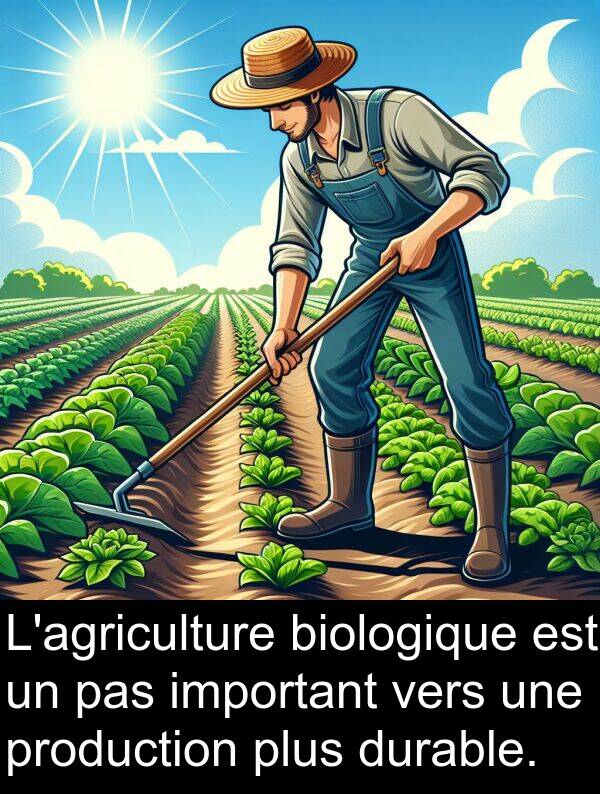 biologique: L'agriculture biologique est un pas important vers une production plus durable.