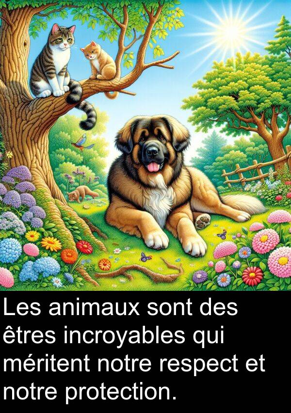 notre: Les animaux sont des êtres incroyables qui méritent notre respect et notre protection.