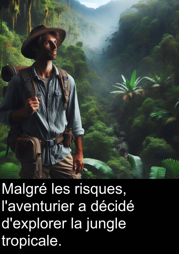 décidé: Malgré les risques, l'aventurier a décidé d'explorer la jungle tropicale.
