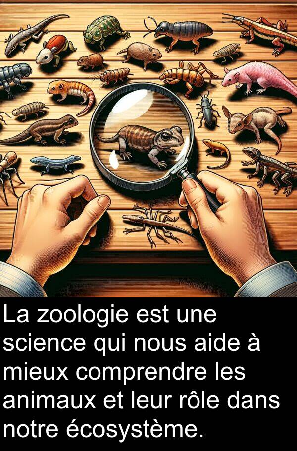 écosystème: La zoologie est une science qui nous aide à mieux comprendre les animaux et leur rôle dans notre écosystème.