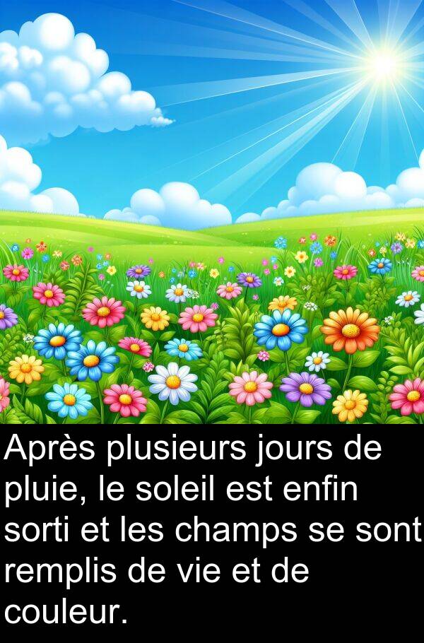 jours: Après plusieurs jours de pluie, le soleil est enfin sorti et les champs se sont remplis de vie et de couleur.