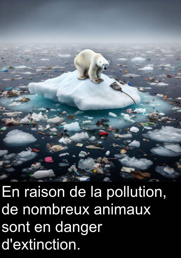 raison: En raison de la pollution, de nombreux animaux sont en danger d'extinction.