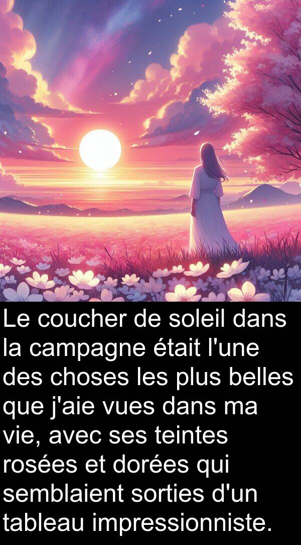 teintes: Le coucher de soleil dans la campagne était l'une des choses les plus belles que j'aie vues dans ma vie, avec ses teintes rosées et dorées qui semblaient sorties d'un tableau impressionniste.