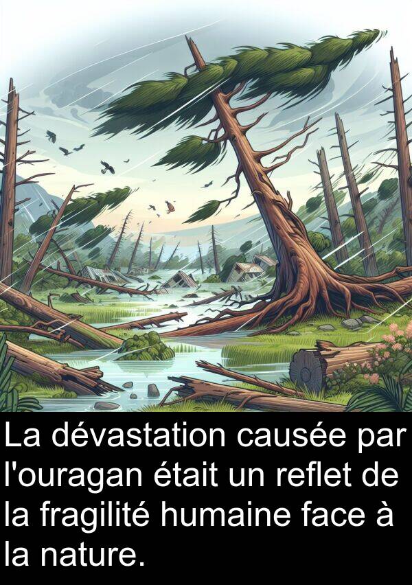 reflet: La dévastation causée par l'ouragan était un reflet de la fragilité humaine face à la nature.