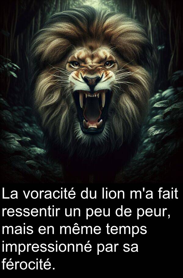 férocité: La voracité du lion m'a fait ressentir un peu de peur, mais en même temps impressionné par sa férocité.