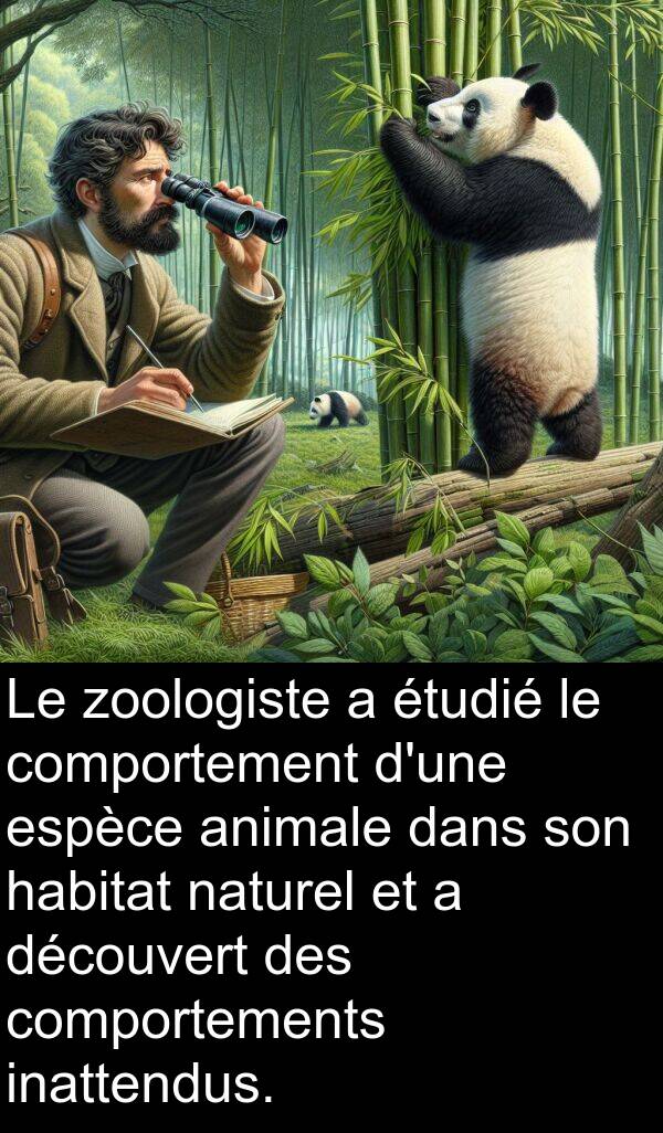 découvert: Le zoologiste a étudié le comportement d'une espèce animale dans son habitat naturel et a découvert des comportements inattendus.