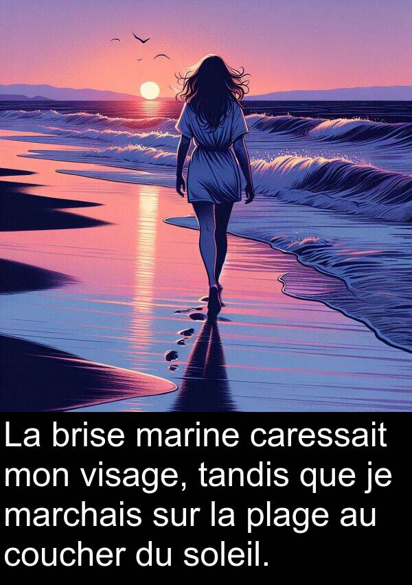 tandis: La brise marine caressait mon visage, tandis que je marchais sur la plage au coucher du soleil.