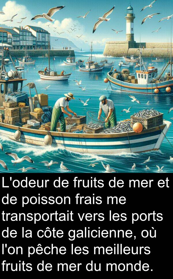 galicienne: L'odeur de fruits de mer et de poisson frais me transportait vers les ports de la côte galicienne, où l'on pêche les meilleurs fruits de mer du monde.