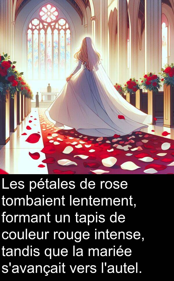 lentement: Les pétales de rose tombaient lentement, formant un tapis de couleur rouge intense, tandis que la mariée s'avançait vers l'autel.