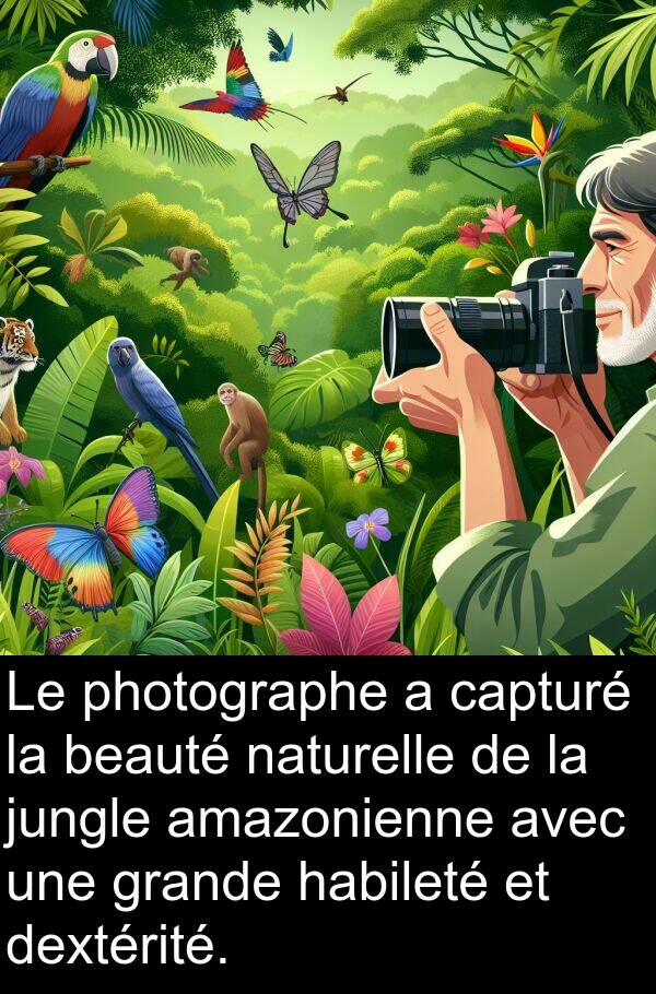 beauté: Le photographe a capturé la beauté naturelle de la jungle amazonienne avec une grande habileté et dextérité.