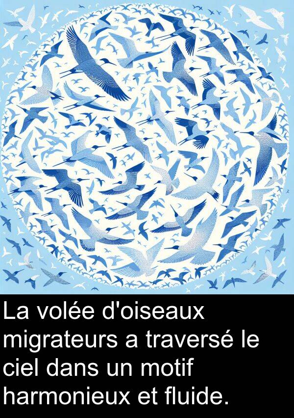 fluide: La volée d'oiseaux migrateurs a traversé le ciel dans un motif harmonieux et fluide.