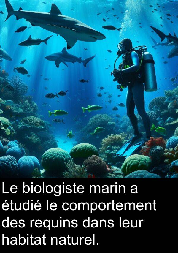 naturel: Le biologiste marin a étudié le comportement des requins dans leur habitat naturel.