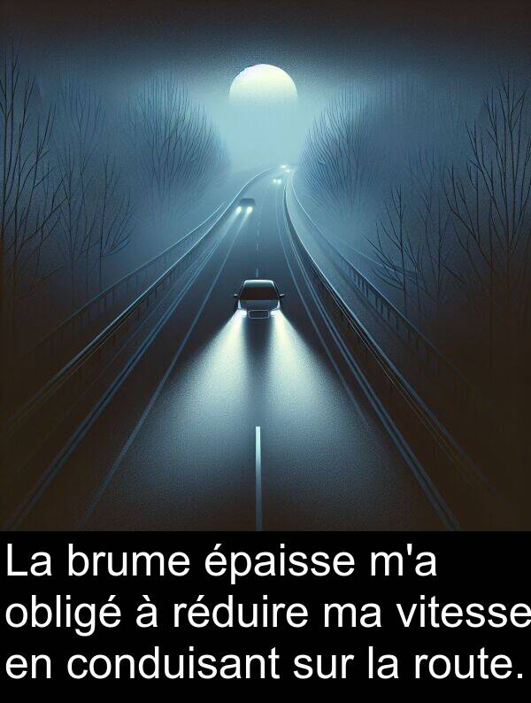 obligé: La brume épaisse m'a obligé à réduire ma vitesse en conduisant sur la route.