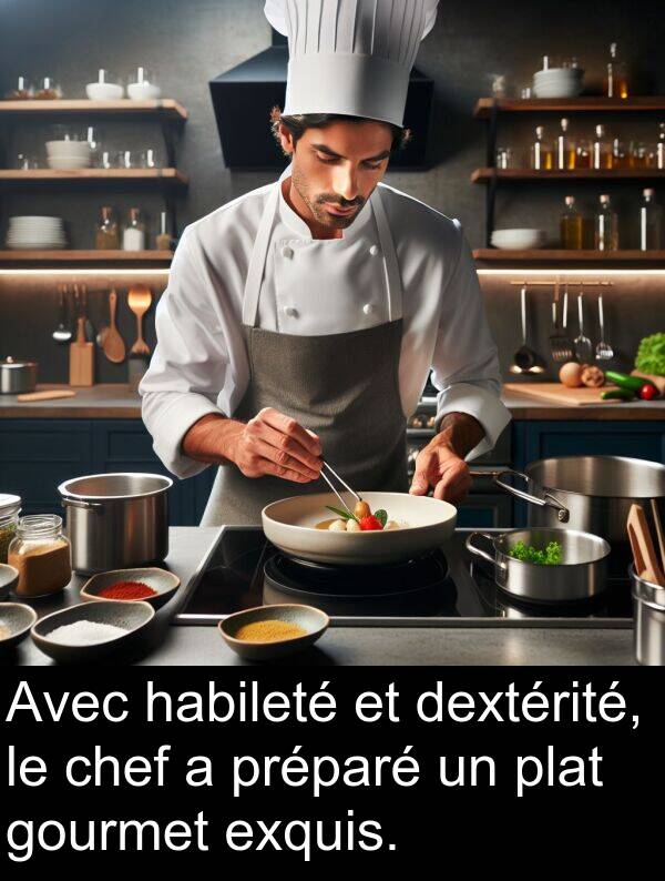 habileté: Avec habileté et dextérité, le chef a préparé un plat gourmet exquis.