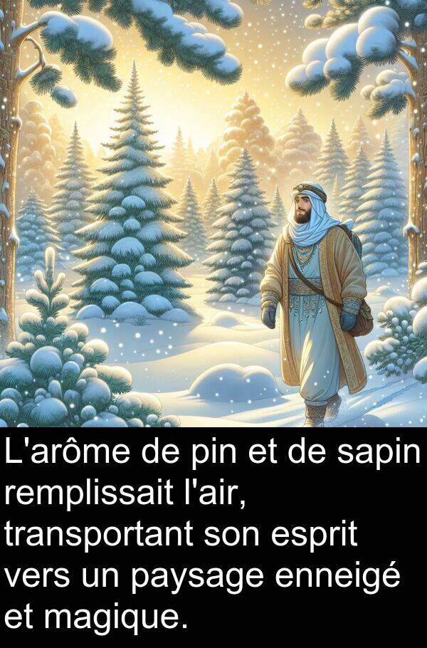 sapin: L'arôme de pin et de sapin remplissait l'air, transportant son esprit vers un paysage enneigé et magique.