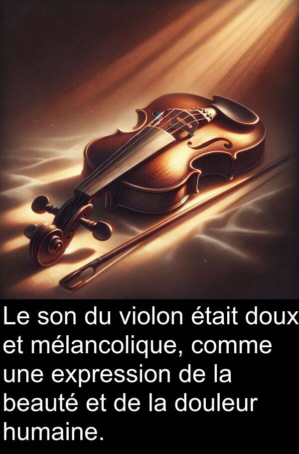 beauté: Le son du violon était doux et mélancolique, comme une expression de la beauté et de la douleur humaine.