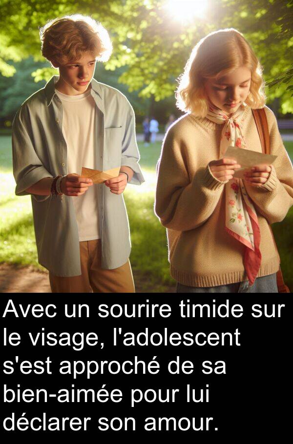 déclarer: Avec un sourire timide sur le visage, l'adolescent s'est approché de sa bien-aimée pour lui déclarer son amour.