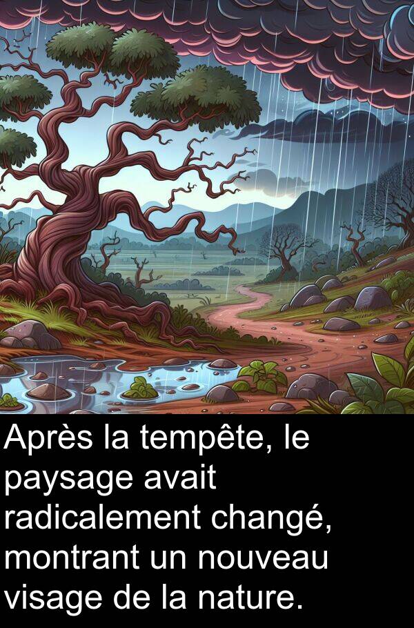 visage: Après la tempête, le paysage avait radicalement changé, montrant un nouveau visage de la nature.