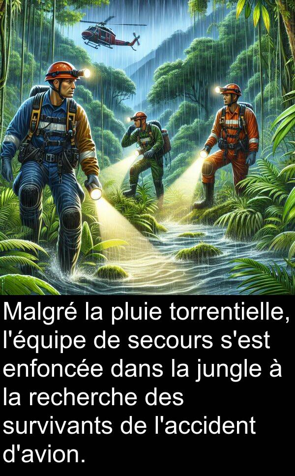jungle: Malgré la pluie torrentielle, l'équipe de secours s'est enfoncée dans la jungle à la recherche des survivants de l'accident d'avion.