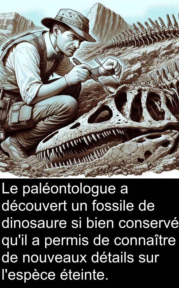 découvert: Le paléontologue a découvert un fossile de dinosaure si bien conservé qu'il a permis de connaître de nouveaux détails sur l'espèce éteinte.