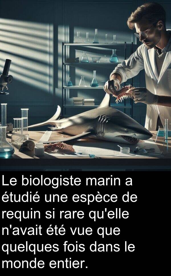 vue: Le biologiste marin a étudié une espèce de requin si rare qu'elle n'avait été vue que quelques fois dans le monde entier.