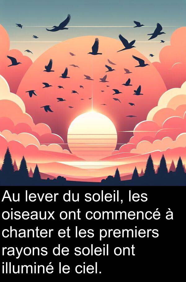 illuminé: Au lever du soleil, les oiseaux ont commencé à chanter et les premiers rayons de soleil ont illuminé le ciel.
