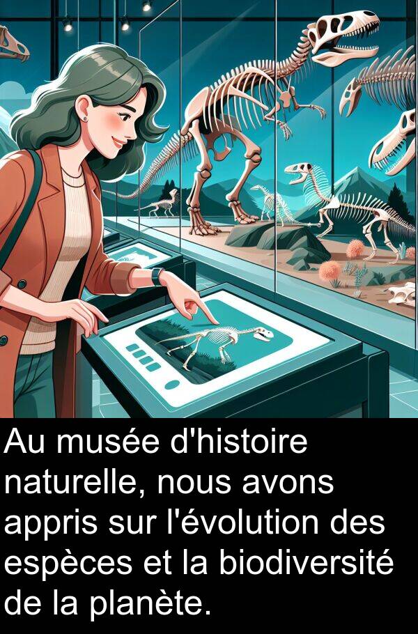 biodiversité: Au musée d'histoire naturelle, nous avons appris sur l'évolution des espèces et la biodiversité de la planète.