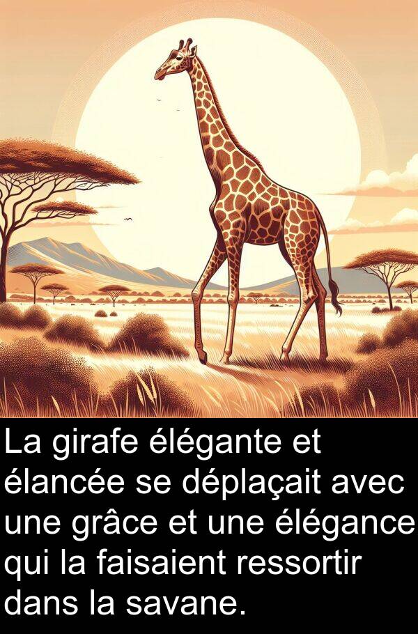 savane: La girafe élégante et élancée se déplaçait avec une grâce et une élégance qui la faisaient ressortir dans la savane.
