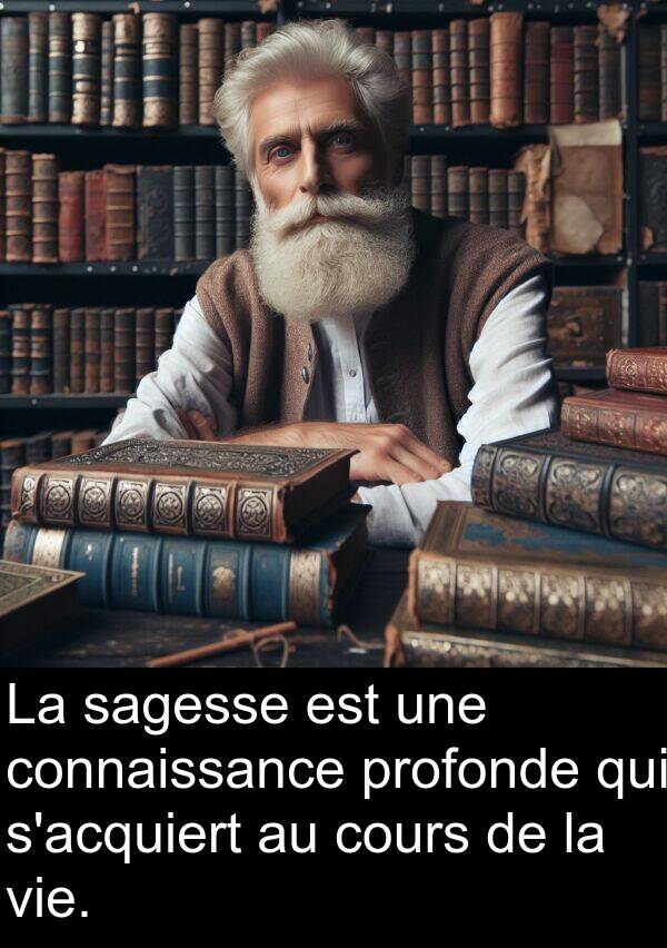 sagesse: La sagesse est une connaissance profonde qui s'acquiert au cours de la vie.