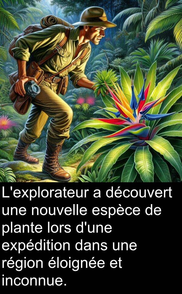 découvert: L'explorateur a découvert une nouvelle espèce de plante lors d'une expédition dans une région éloignée et inconnue.
