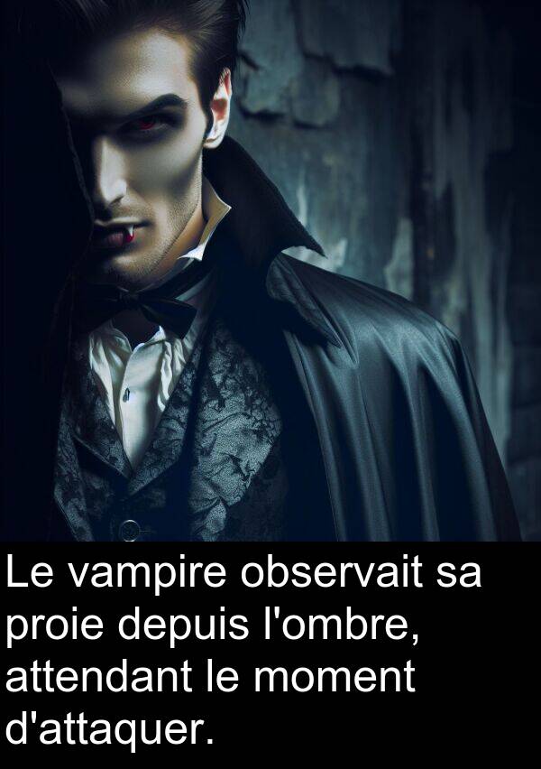 observait: Le vampire observait sa proie depuis l'ombre, attendant le moment d'attaquer.