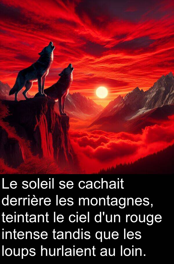 tandis: Le soleil se cachait derrière les montagnes, teintant le ciel d'un rouge intense tandis que les loups hurlaient au loin.