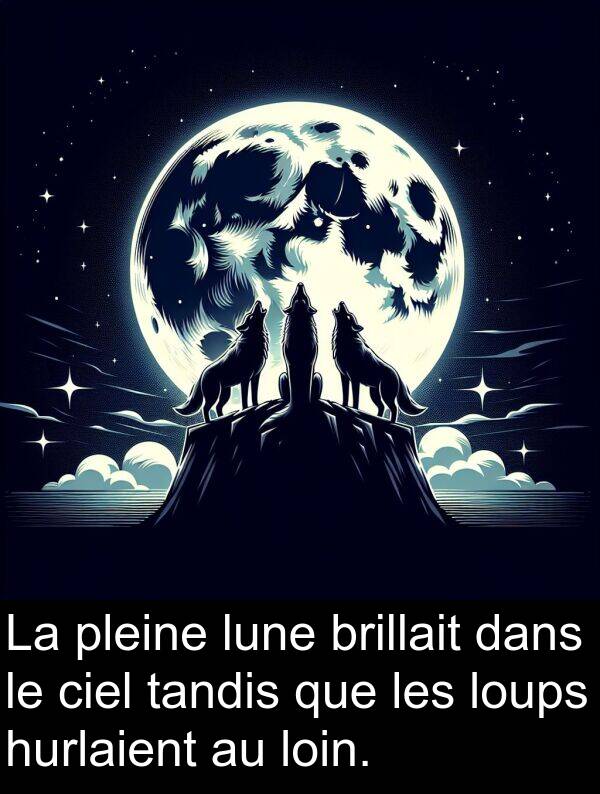 tandis: La pleine lune brillait dans le ciel tandis que les loups hurlaient au loin.