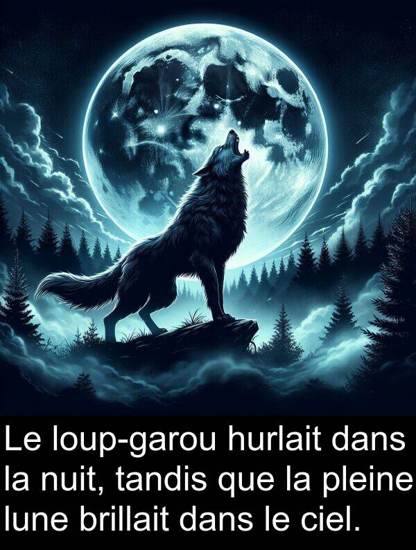tandis: Le loup-garou hurlait dans la nuit, tandis que la pleine lune brillait dans le ciel.