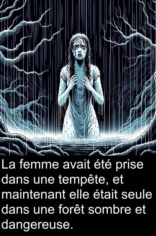 sombre: La femme avait été prise dans une tempête, et maintenant elle était seule dans une forêt sombre et dangereuse.
