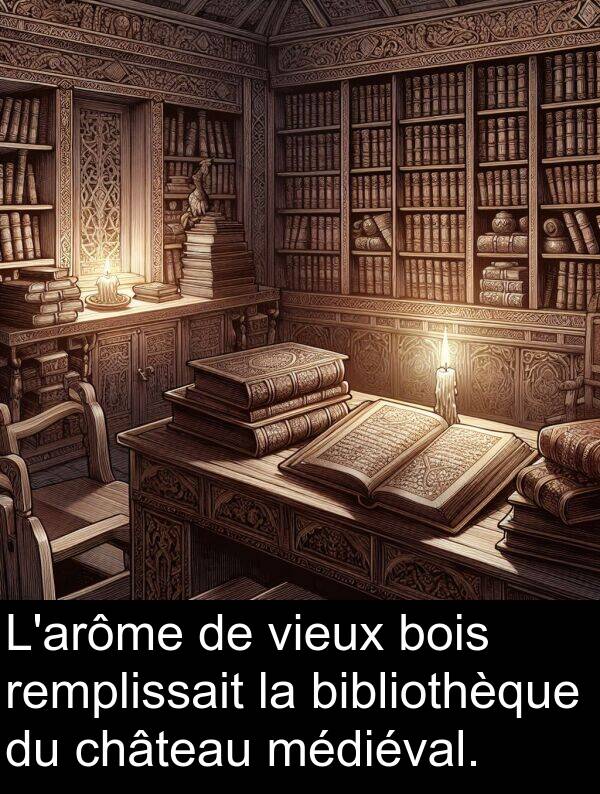 bibliothèque: L'arôme de vieux bois remplissait la bibliothèque du château médiéval.