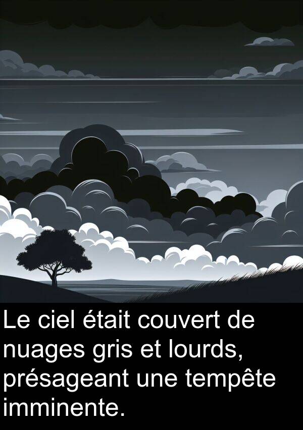 imminente: Le ciel était couvert de nuages gris et lourds, présageant une tempête imminente.