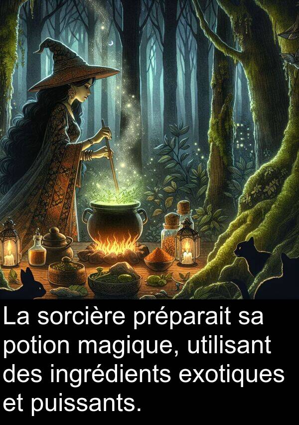 magique: La sorcière préparait sa potion magique, utilisant des ingrédients exotiques et puissants.