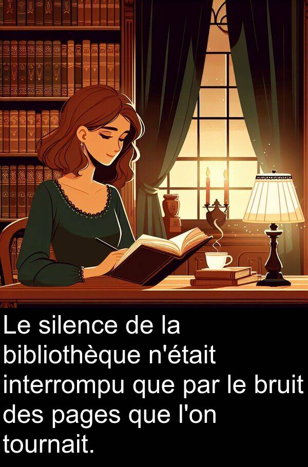bibliothèque: Le silence de la bibliothèque n'était interrompu que par le bruit des pages que l'on tournait.