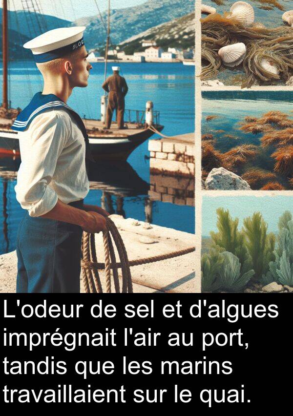 tandis: L'odeur de sel et d'algues imprégnait l'air au port, tandis que les marins travaillaient sur le quai.