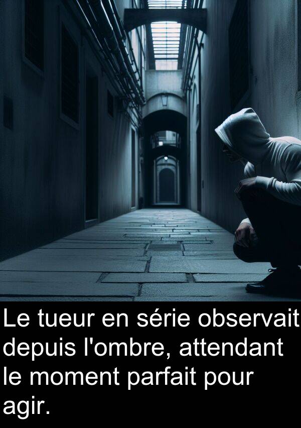 observait: Le tueur en série observait depuis l'ombre, attendant le moment parfait pour agir.