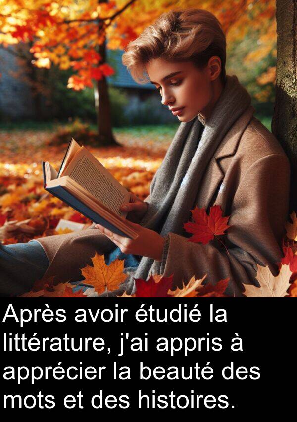 beauté: Après avoir étudié la littérature, j'ai appris à apprécier la beauté des mots et des histoires.