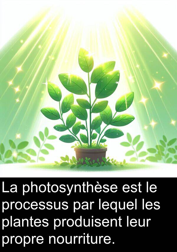 nourriture: La photosynthèse est le processus par lequel les plantes produisent leur propre nourriture.