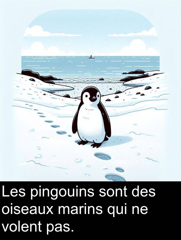 marins: Les pingouins sont des oiseaux marins qui ne volent pas.