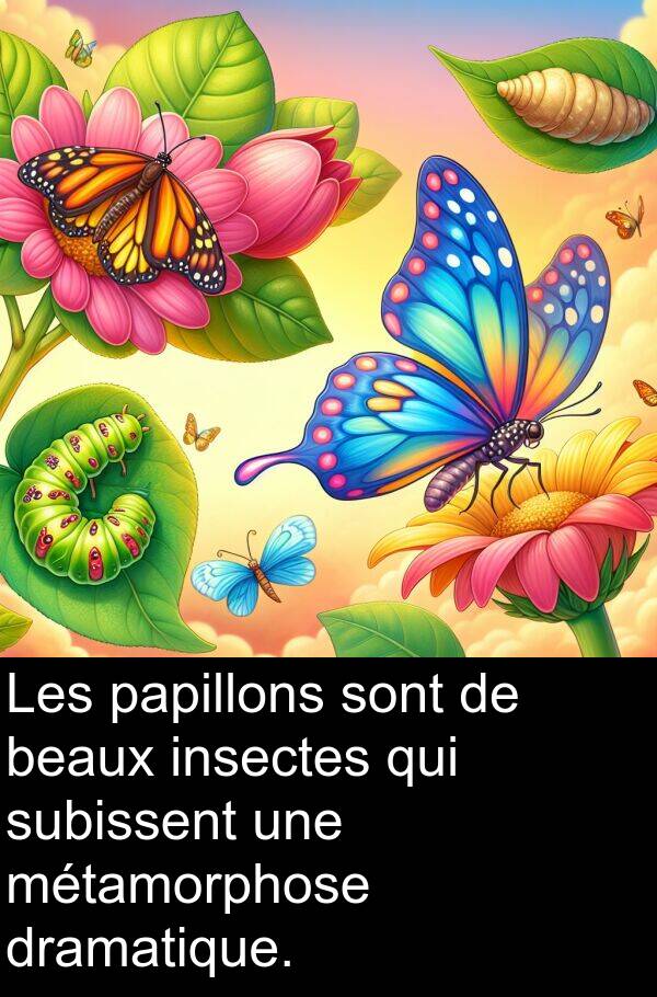 subissent: Les papillons sont de beaux insectes qui subissent une métamorphose dramatique.