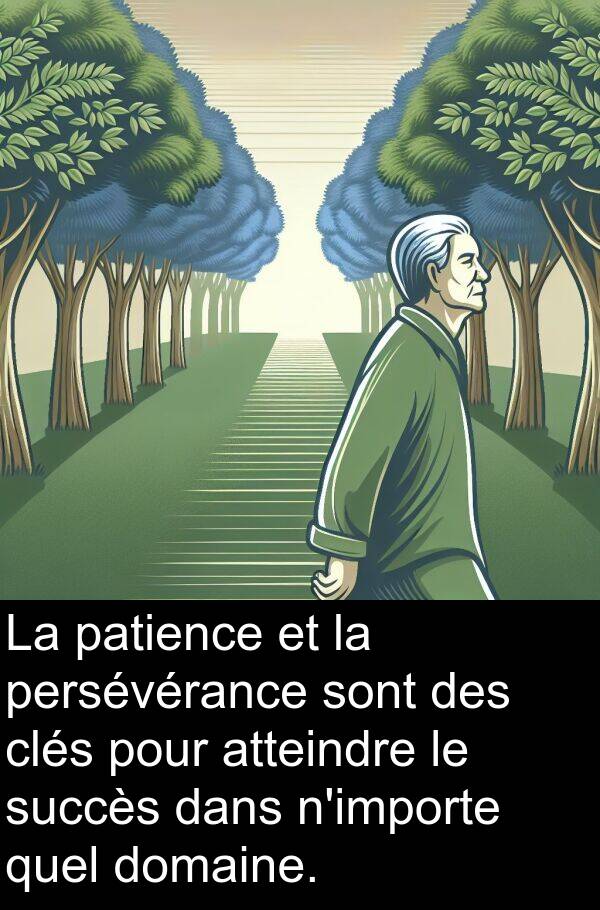 clés: La patience et la persévérance sont des clés pour atteindre le succès dans n'importe quel domaine.